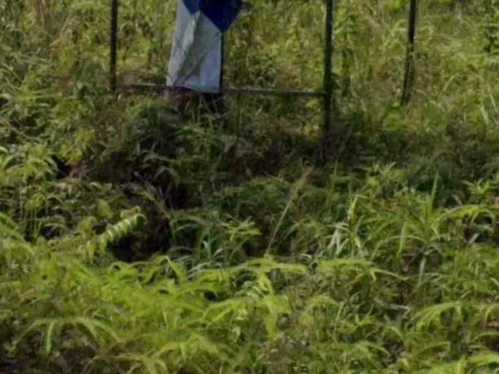 Martapura Kalimantan Selatan Cck u pergudangan