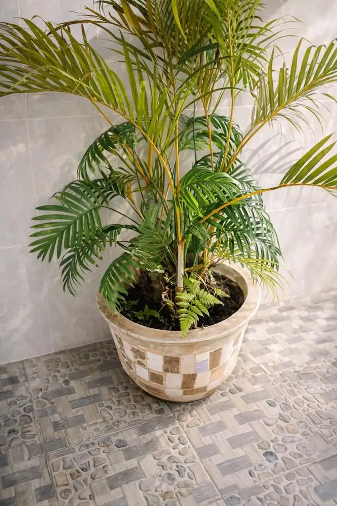 Pot bunga keramik besar