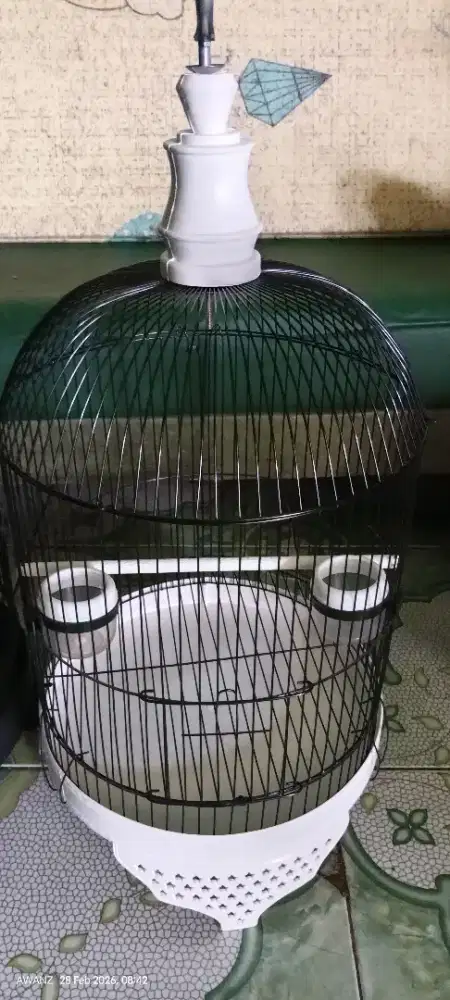 Kandang lb minion baru