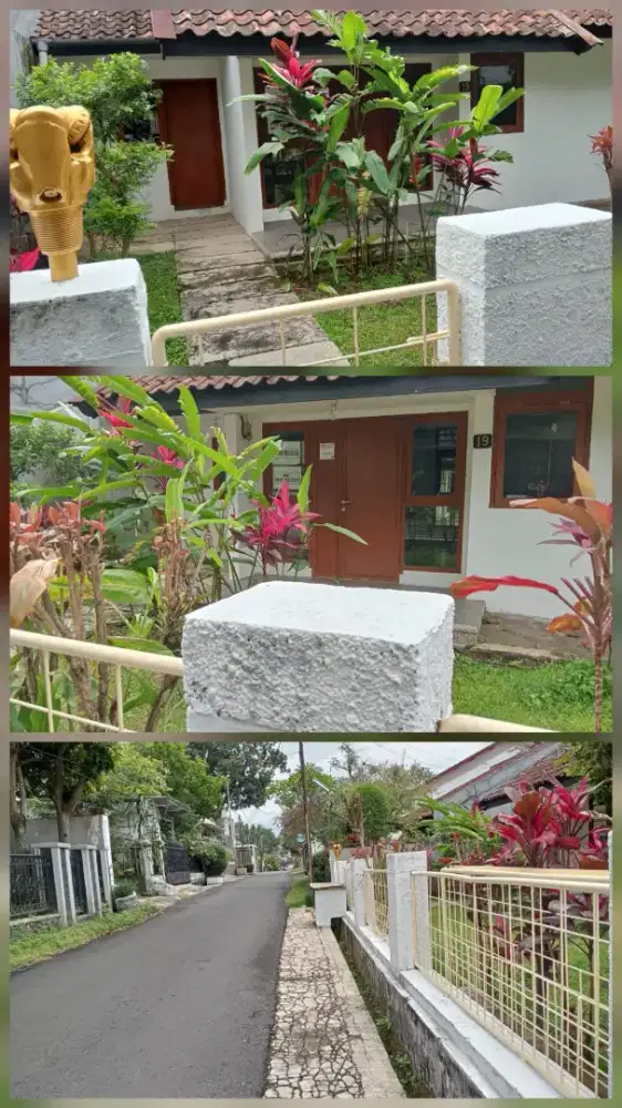 Disewakan Rumah Mungil Halaman Luas