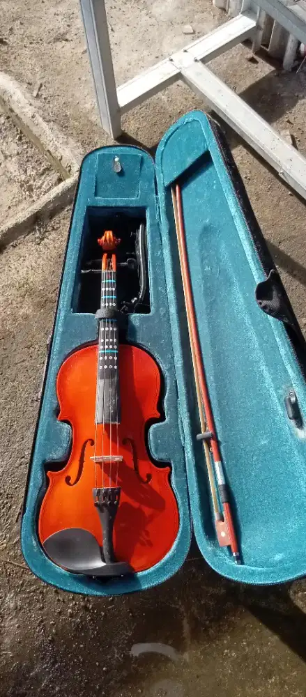 Biola/violin 4/4 benston kayu solid