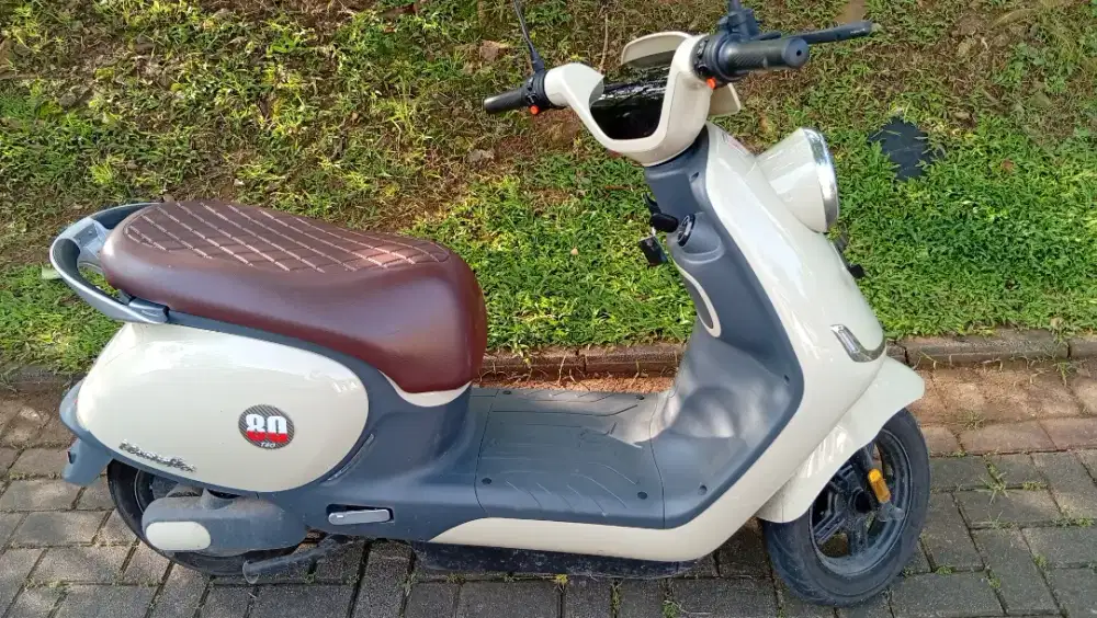 Motor listrik uwinfly T80