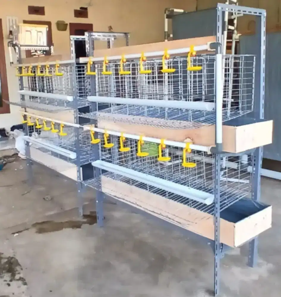 Kandang Ayam Petelur Galvanish (Baterai)