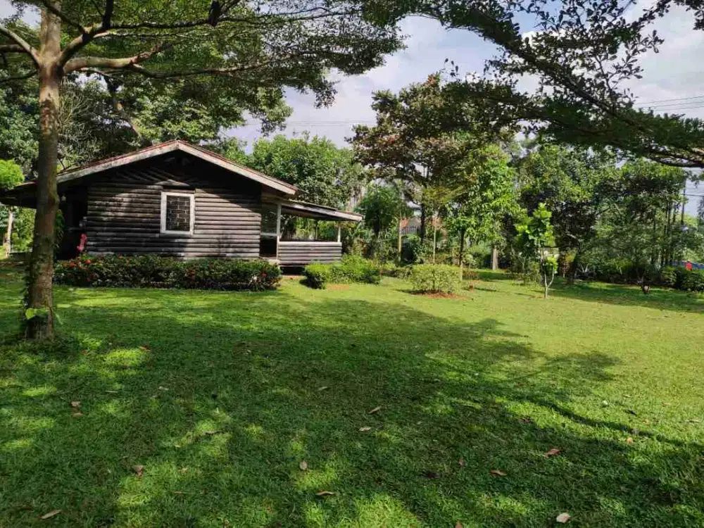 dijual kavling cantik dan rapih di tajur halang bogor