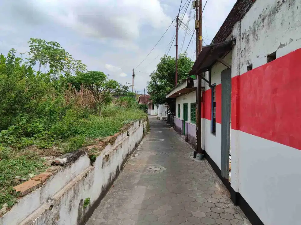 pekarangan Baciro kodya