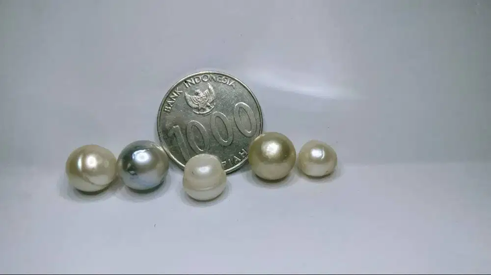 MUTIARA LOMBOK ASLI NO SERTIFIKAT