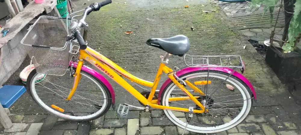 Sepeda gunung mulus murah