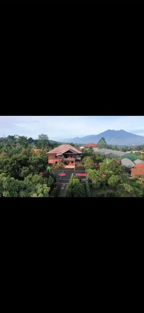 Dijual Villa Wooden Huis Tapos Ciawi, Luas tanah 7000m m