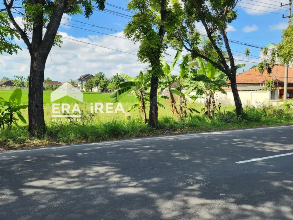 TANAH DIJUAL DI SRAGEN DEKAT PASAR MASARAN, GEDUNG IPHI