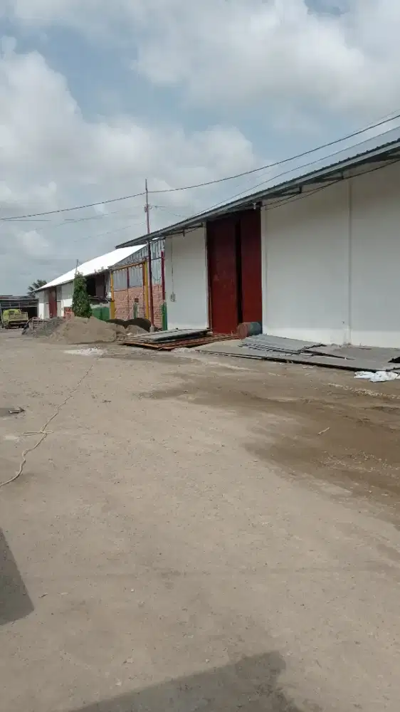 Disewakan gudang tanjung barangan plg