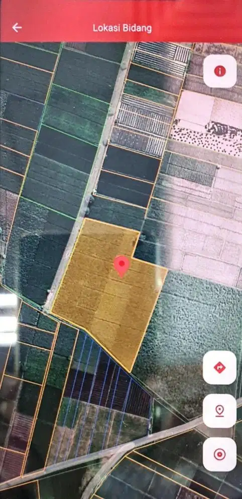 Dijual santai sawah produktif 9826 m2 di Desa Badas