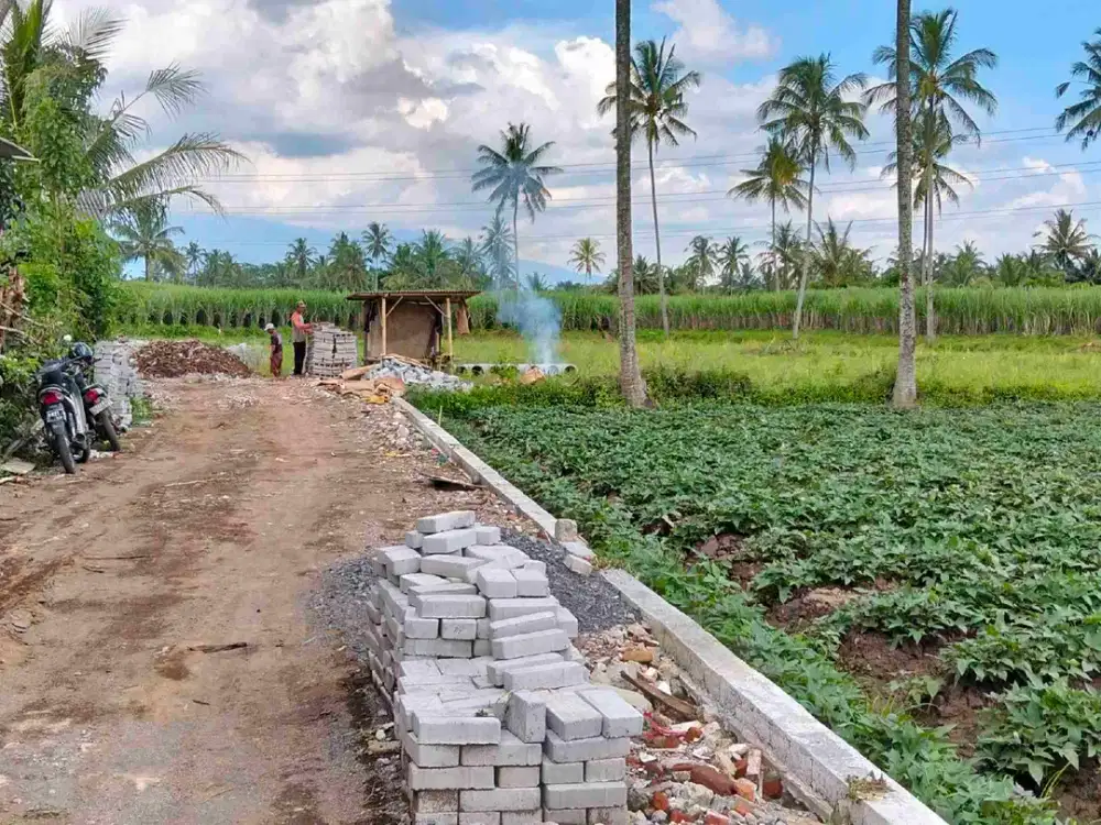 Tanah Kavling Jambon Pakis Malang