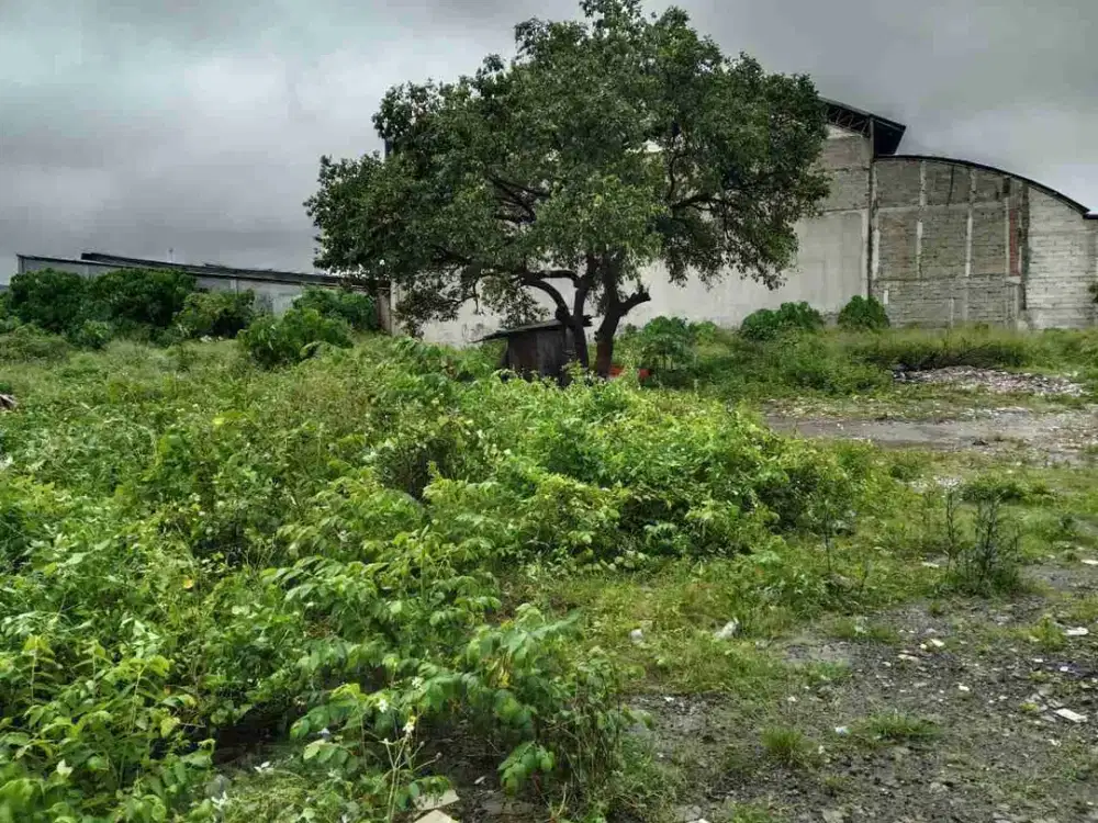 Jual Di Bawah Harga Pasaran Tanah Padat Area Komersial Di Bekasi Utara