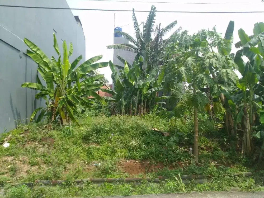 Dijual Tanah di Pagedangan Cisauk