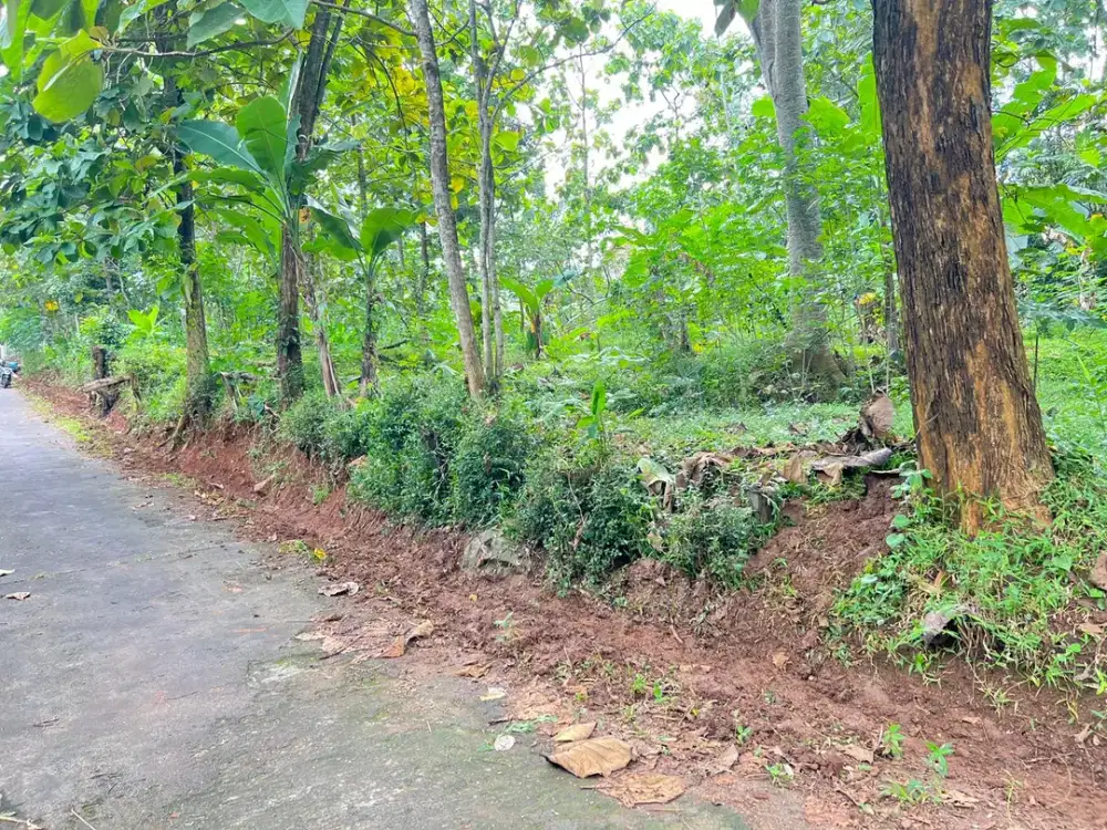 Tanah Datar 600m2 225Jt Barat Pasar Mojogedang Karanganyar