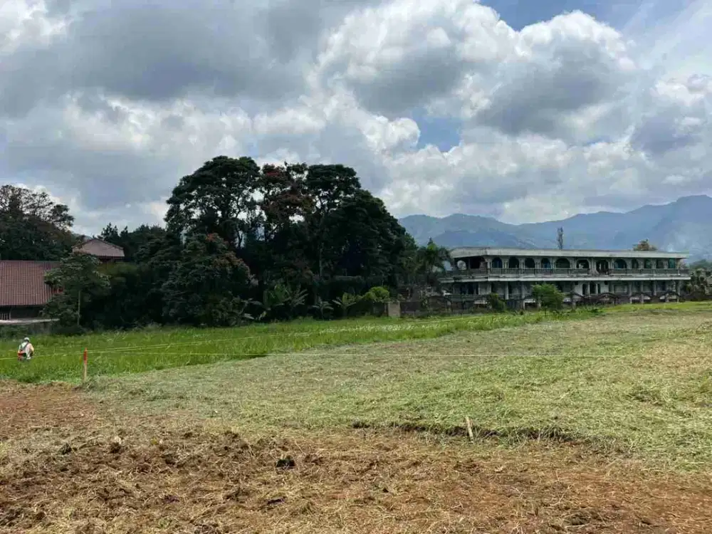 Tanah Puncak 200 Meter dari Jalan Raya Utama Puncak Di Jual Legalitas Aman
