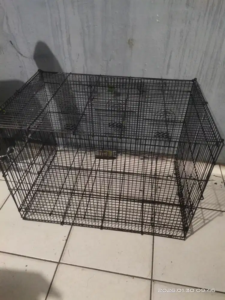kandang kucing 60x40x40