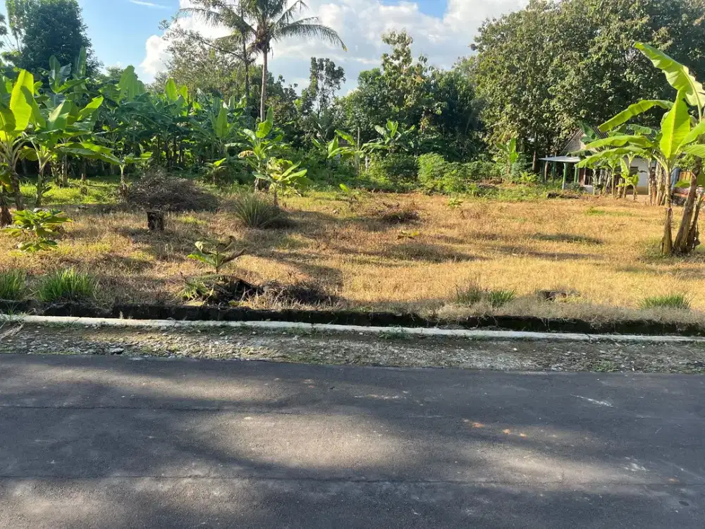 Tanah Datar Murah 275Jt 650m2 Utara Koramil Kerjo Karanganyar