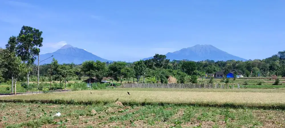 Dijual Tanah Pekarangan