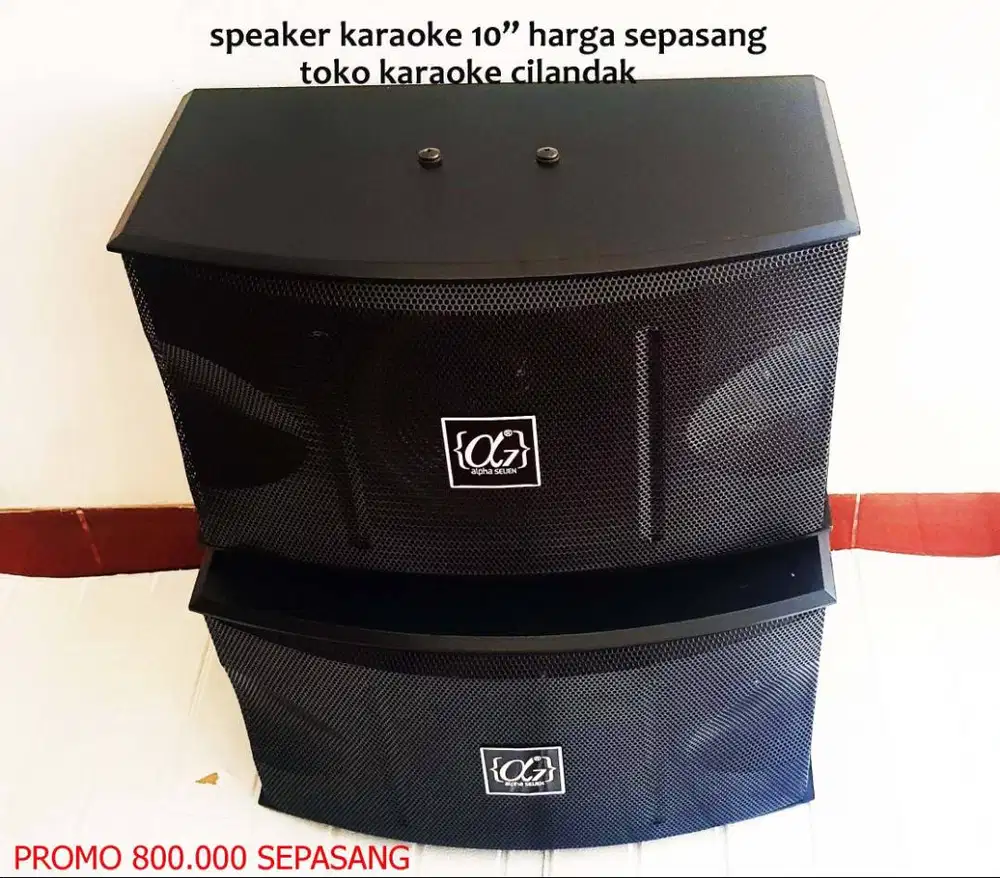 speaker pasif 10in