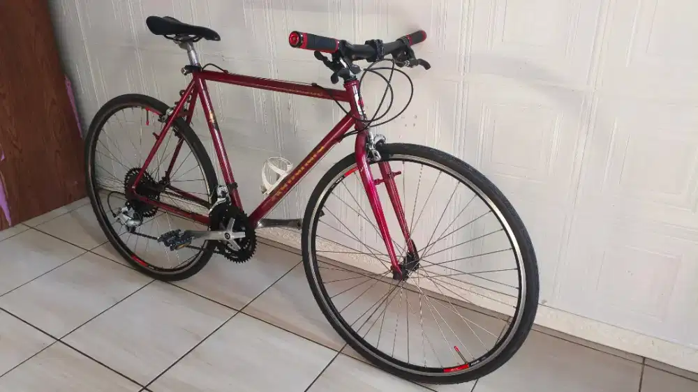 Sepeda Vintage Filla Metro