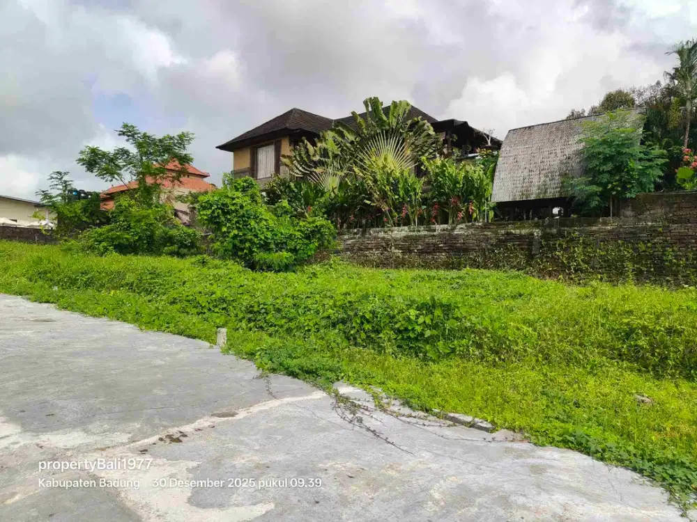 Tanah 100m2 di DALUNG lingk Villa