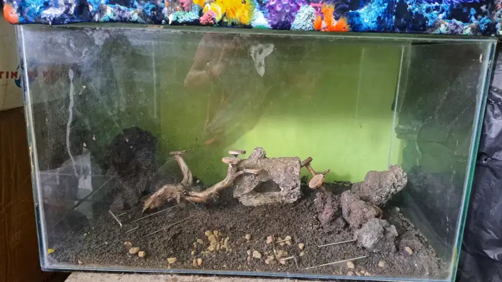 Aquarium ikan 60x35x35