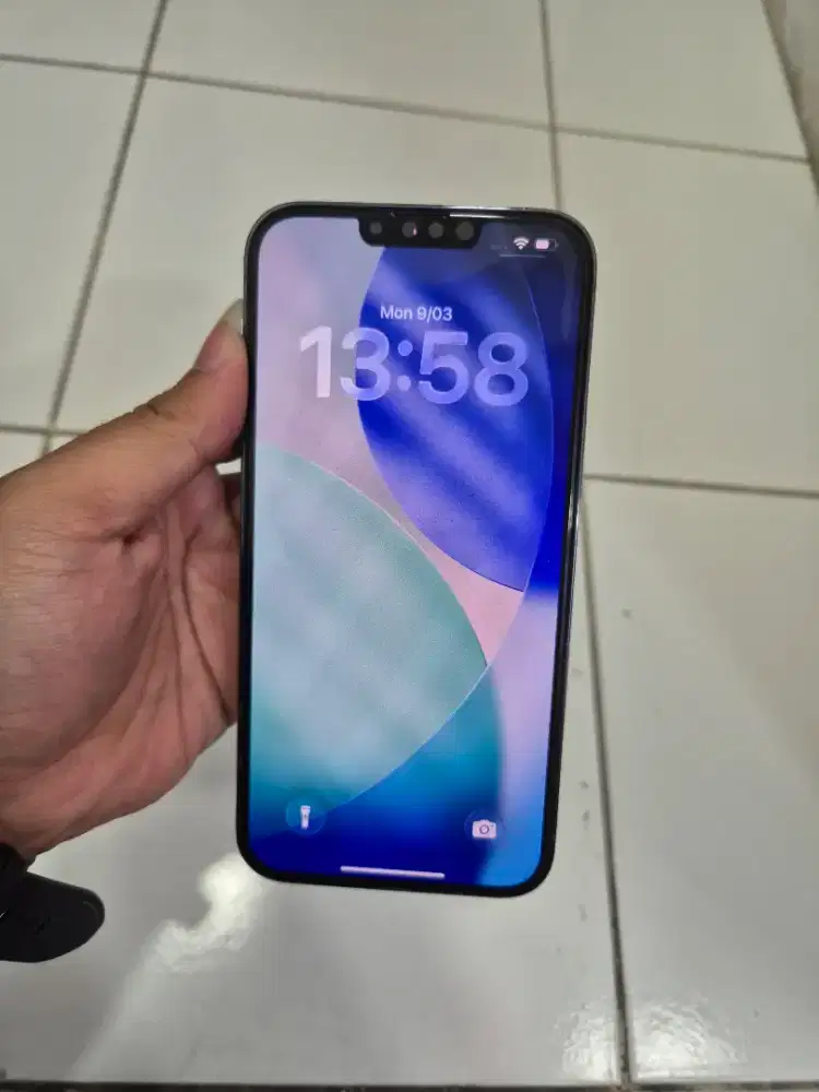 Iphone 13 Promax 256gb Inter