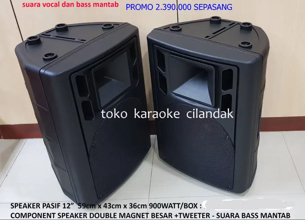 speaker pasif 12in sepasang