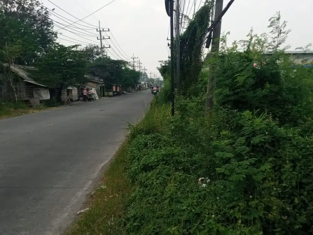 Disewakan Lahan Menganti Gresik