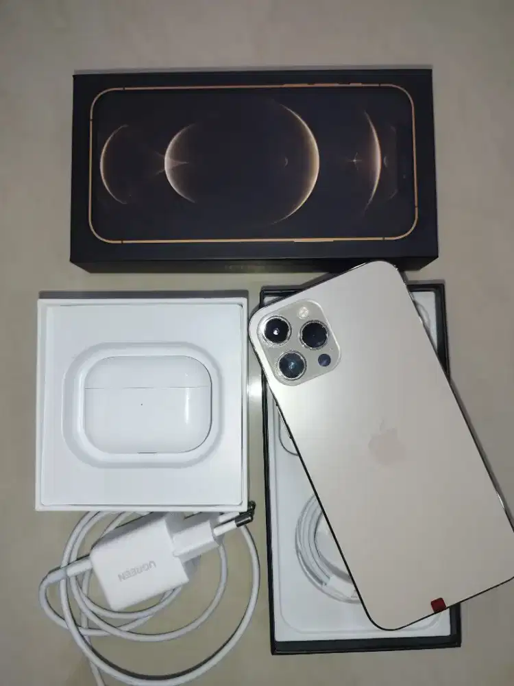 iPhone 12 Pro Max 256 GB inter (Mulus)