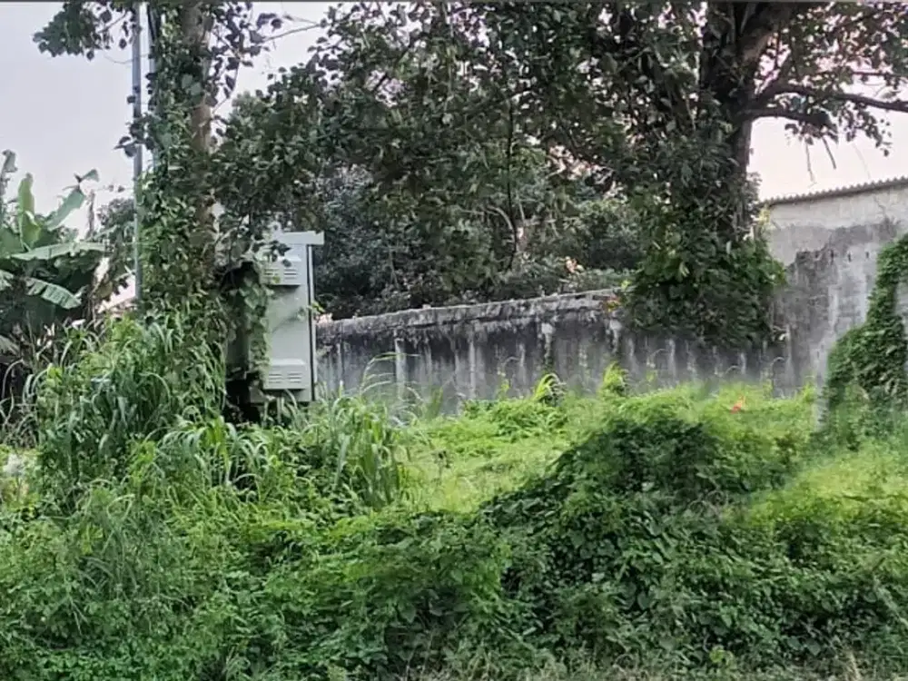 Dijual Tanah Strategis Di Menganti