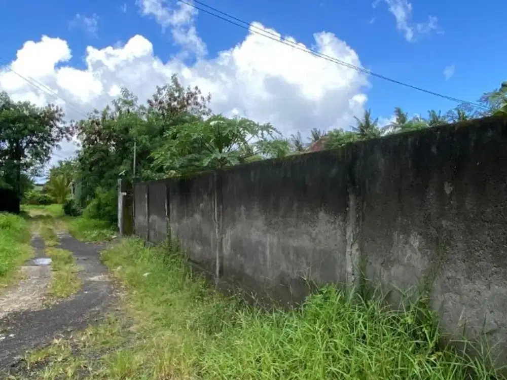 TANAH BAGUS DAN STRATEGIS 20 ARE DI UBUD GIANYAR - Thumbnail 3