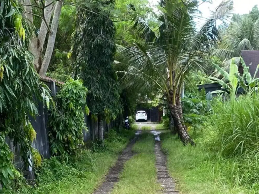 TANAH BAGUS DAN STRATEGIS 20 ARE DI UBUD GIANYAR - Thumbnail 4