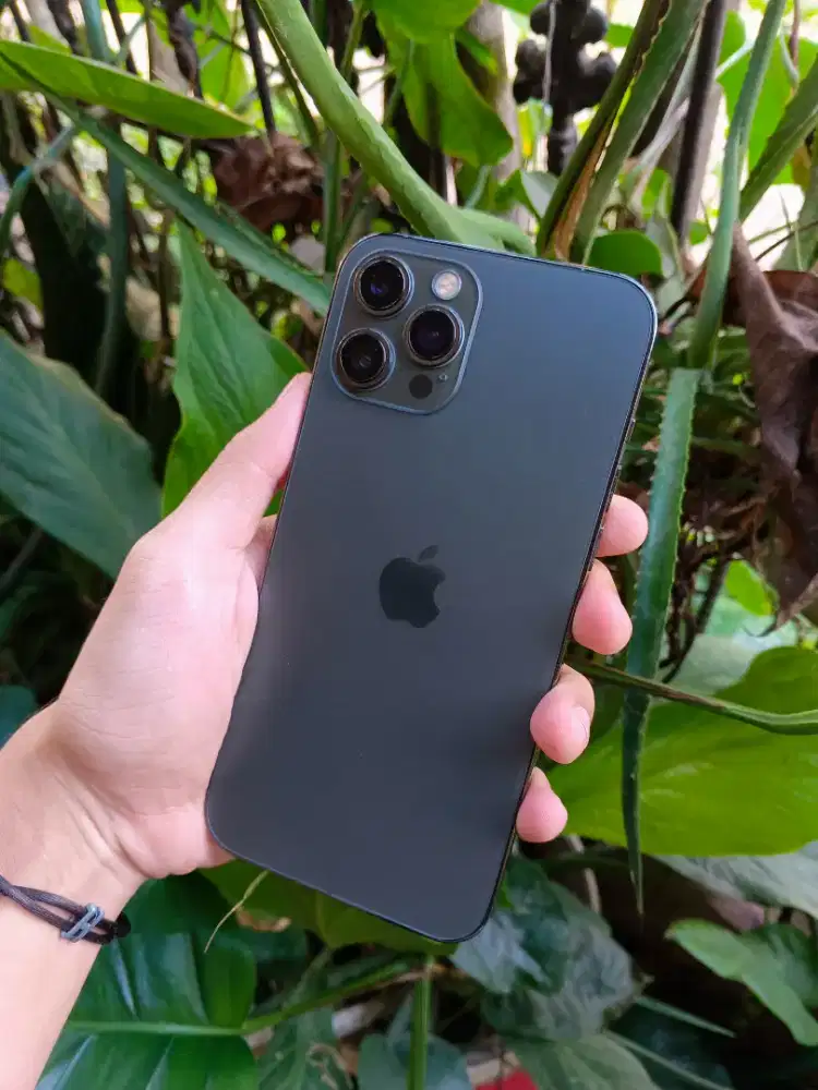 iPhone 12 Pro Max 256 GB