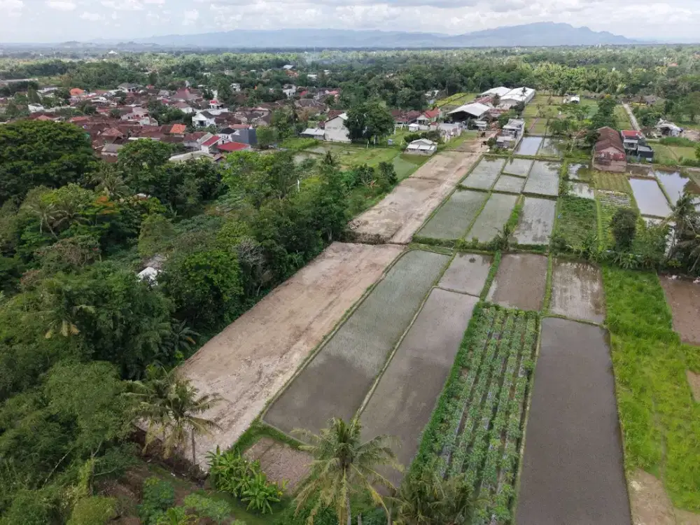 TANAH PALAGAN SLEMAN JOGJA PINGGIR JALAN RAYA