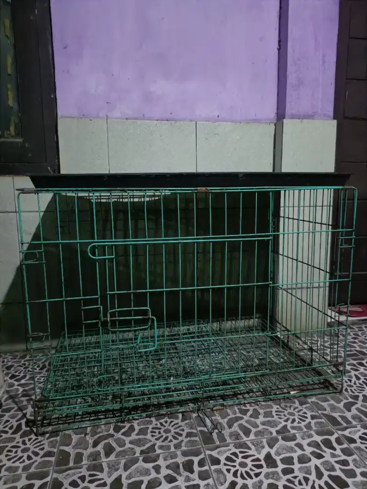 Dijual kandang kucing