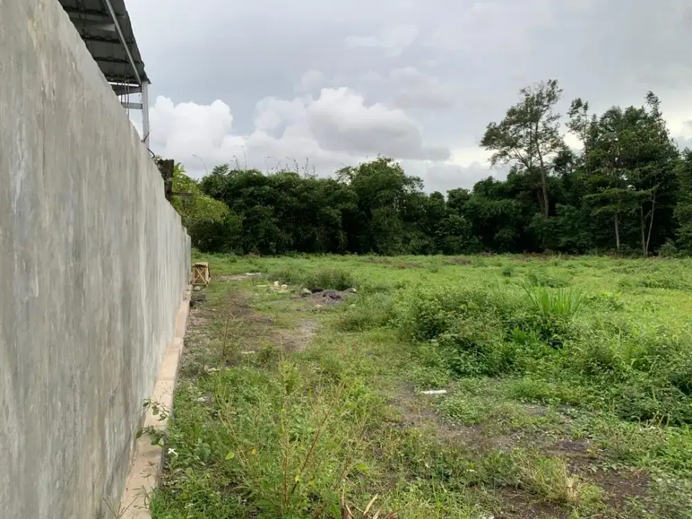 Tanah murah di Purwomartani Kalasan, Utara Dawet Ringin Pak Bardi