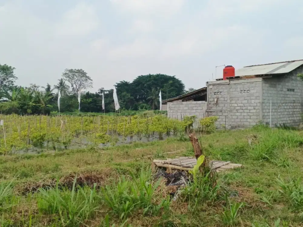 TANAH SANGAT STRATEGIS DEKAT SCH MALL SLEMAN JOGJA