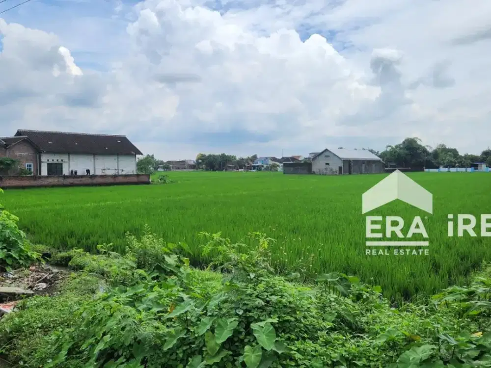 TANAH DIJUAL DI KARANGANYAR DEKAT DENGAN PABRIK GULA TASIKMADU