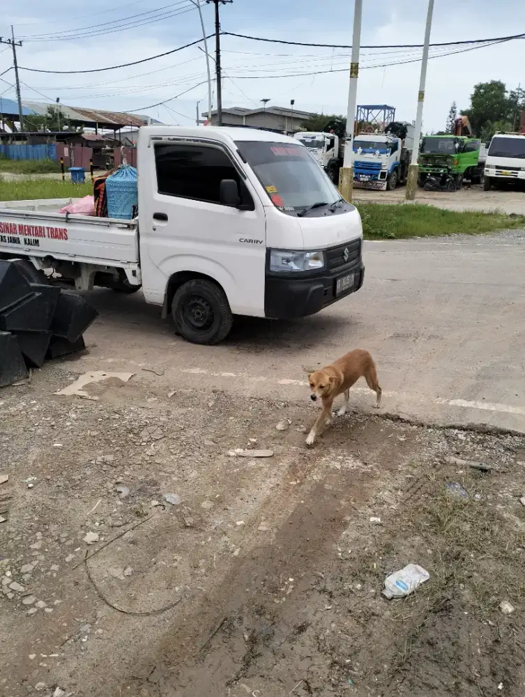 d jual pic,up ac ps 125 jt