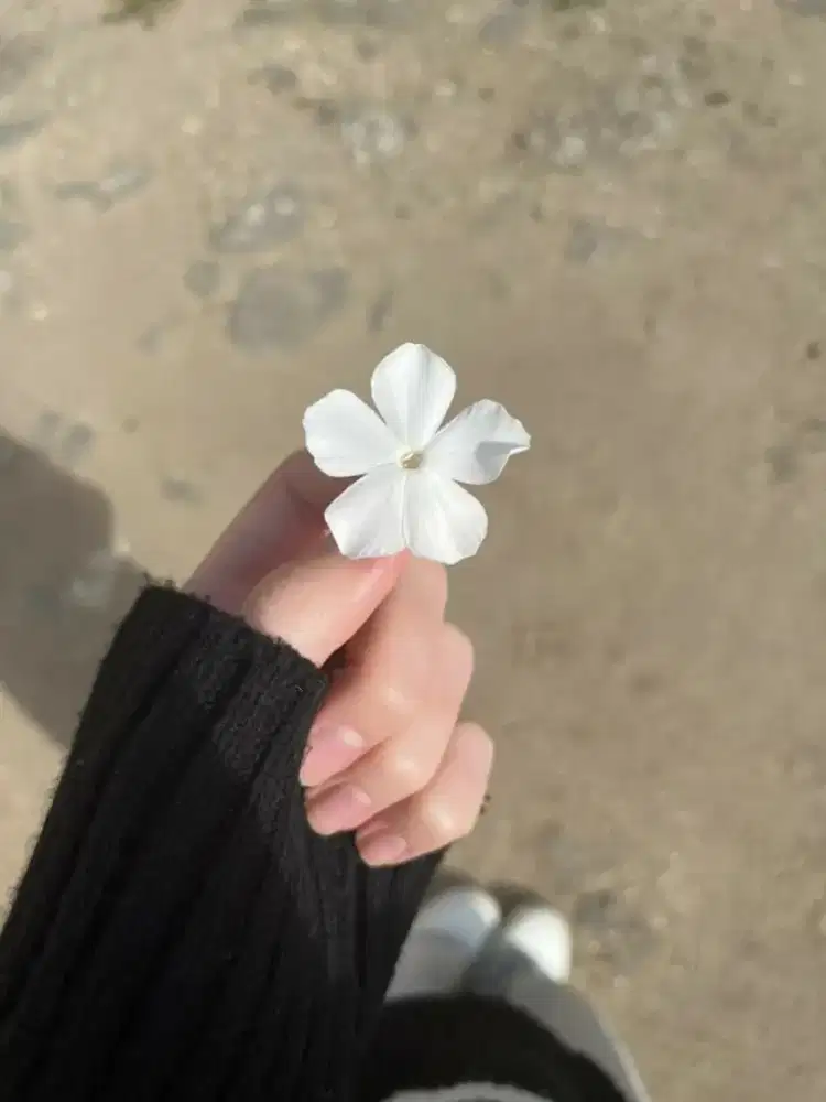 sedang mencari pekerjaan untuk perempuan