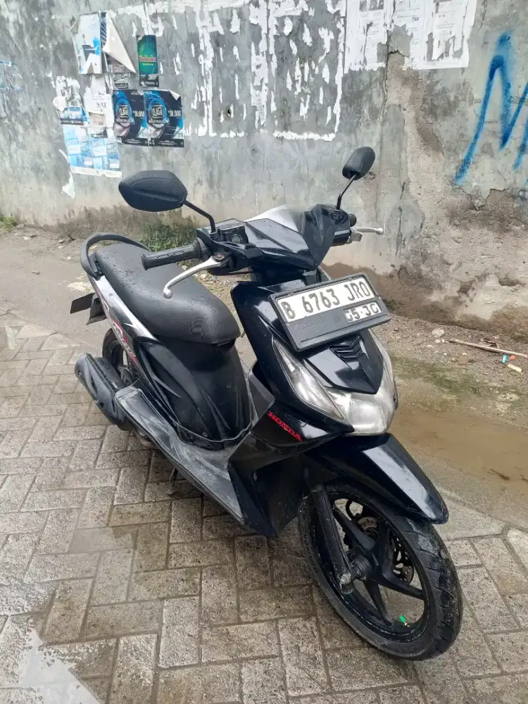 Bear pajak idup lengkap