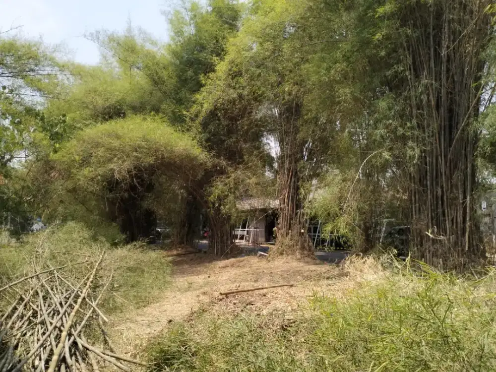 Galian kolam bobok beton cut and fill land clearing aspal