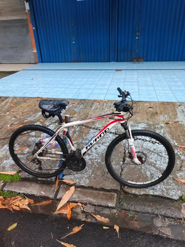 Sepeda MTB Murah