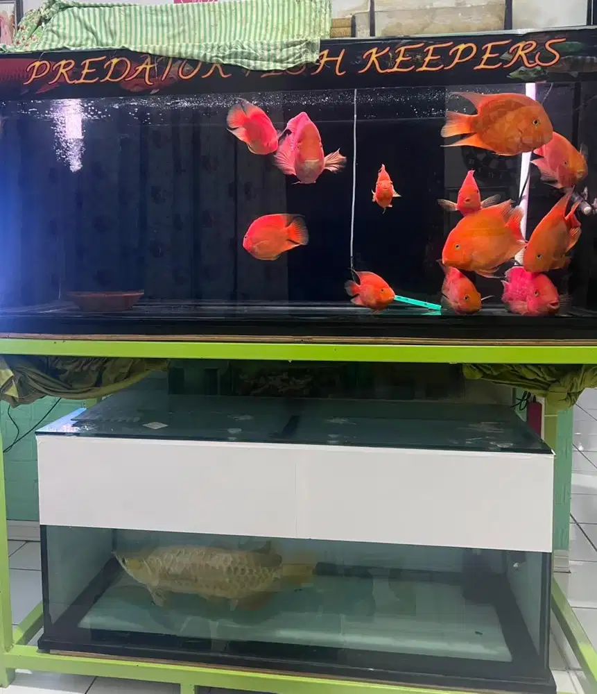 Aquarium full set