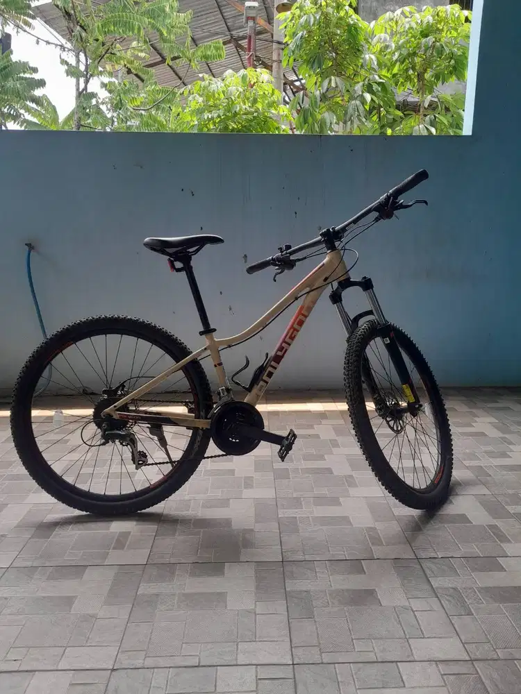 Sepeda gunung dan jalan raya