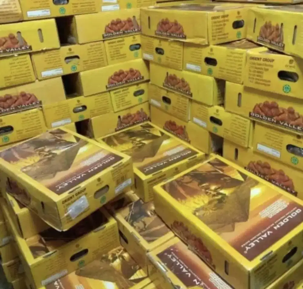 KURMA MESIR GOLDEN VALLEY Gold Valey Khalas Arab Korma Sukari Ajwa