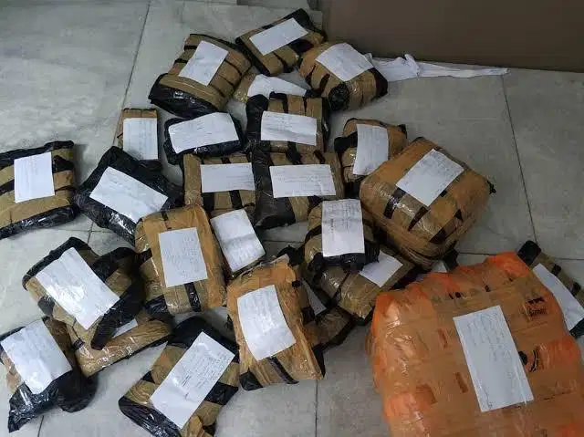 BUTUH CEPAT PEKERJA HARIAN LEPAS WANITA