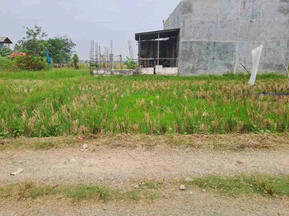 DIJUAL TANAH HEMAT DEKAT KAWASAN INDUSTRI KARAWANG BARAT